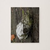 Weißwedelhirsch-Schädel Puzzle (Vertikal)
