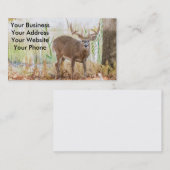 Weißwedelhirschdollar Visitenkarte (Vorne/Hinten)