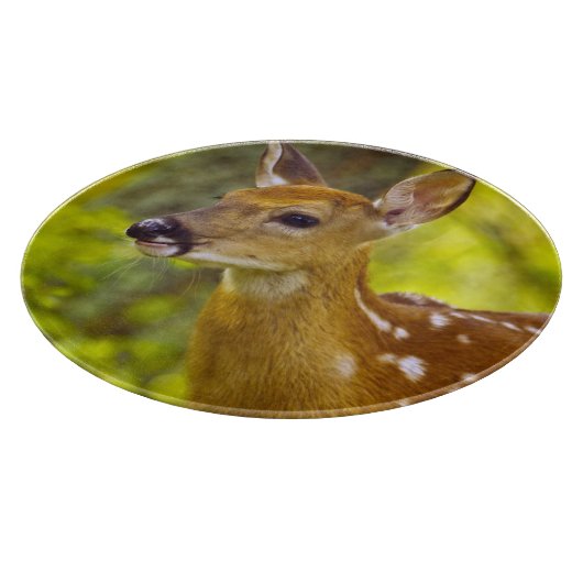 Weißwedelhirschkitz in der Maräne, Montana, USA Schneidebrett (Ecke)