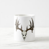 Weißwedelhirschschädel 1 kaffeetasse (Mittel)