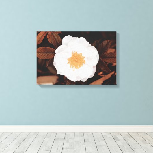 Weißwilde Rose auf kugelfarbenen Herbstblättern Leinwanddruck (Insitu (Holzboden))