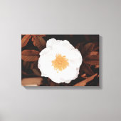 Weißwilde Rose auf kugelfarbenen Herbstblättern Leinwanddruck (Vorderseite)