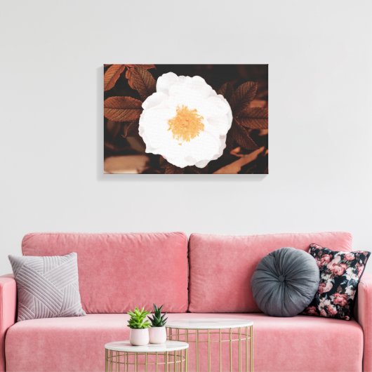 Weißwilde Rose auf kugelfarbenen Herbstblättern Leinwanddruck (Insitu (Wohnzimmer))