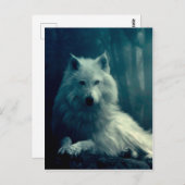 Weißwolf im Nachwald Postkarte (Vorne/Hinten)