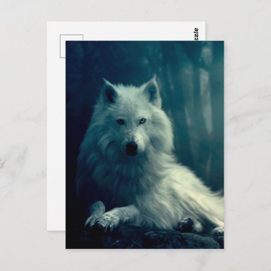 Weißwolf im Nachwald Postkarte (Vorne/Hinten)