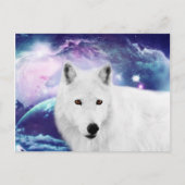 Weißwolf Postkarte (Vorderseite)