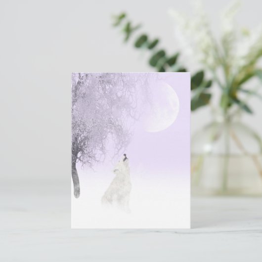 Weißwolf Postkarte (Stehend Vorderseite)