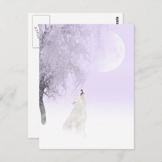 Weißwolf Postkarte (Vorne/Hinten)