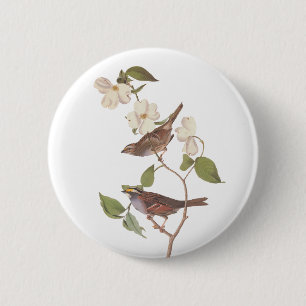 Weißwurzelammer Audubon-Vogel in Dogwood Button