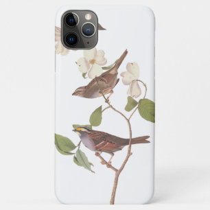 Weißwurzelammer Audubon-Vögel in Dogwood Case-Mate iPhone Hülle