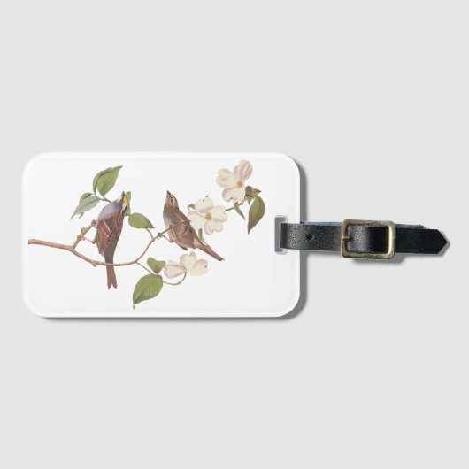 Weißwurzelammer Audubon-Vogel in Dogwood Gepäckanhänger (Vorderseite (Horizontal))