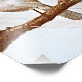 Weißwurzelammer Fotodruck (Ecke)