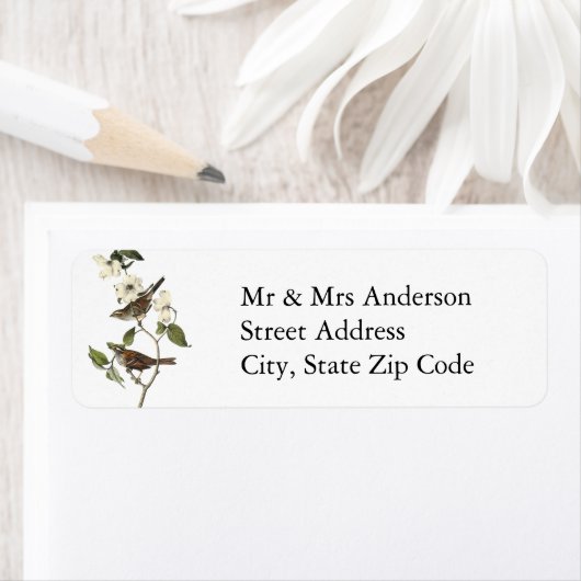 Weißwurzelammer - John Audubon (Insitu)