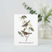 Weißwurzelammer - John Audubon Postkarte (Stehend Vorderseite)