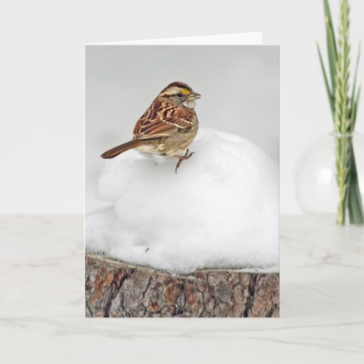 Weißwurzelammer Karte (Vorderseite)