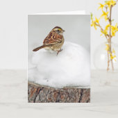 Weißwurzelammer Karte (Gelbe Blume)