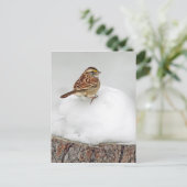 Weißwurzelammer Postkarte (Stehend Vorderseite)