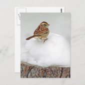 Weißwurzelammer Postkarte (Vorne/Hinten)