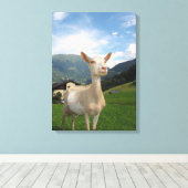 Weißziege Leinwanddruck (Insitu (Holzboden))