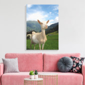 Weißziege Leinwanddruck (Insitu (Wohnzimmer))