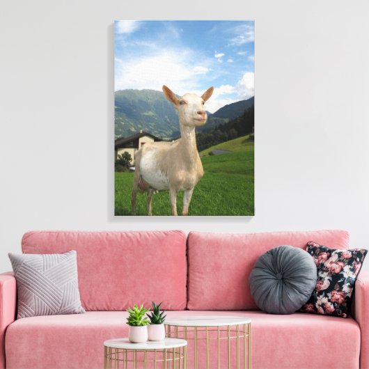 Weißziege Leinwanddruck (Insitu (Wohnzimmer))