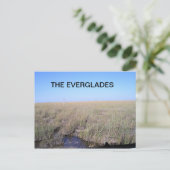 WEIT DER EVERGLADES POSTKARTE (Stehend Vorderseite)