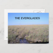WEIT DER EVERGLADES POSTKARTE (Vorne/Hinten)