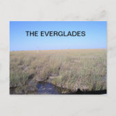 WEIT DER EVERGLADES POSTKARTE (Vorderseite)
