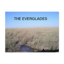 WEIT DER EVERGLADES