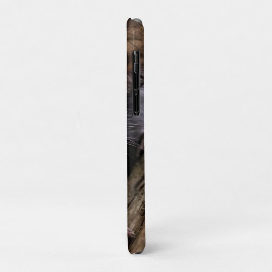 "Weit Mit Augen Auge in einem Baum" Case-Mate iPhone Hülle (Hinten/Links)