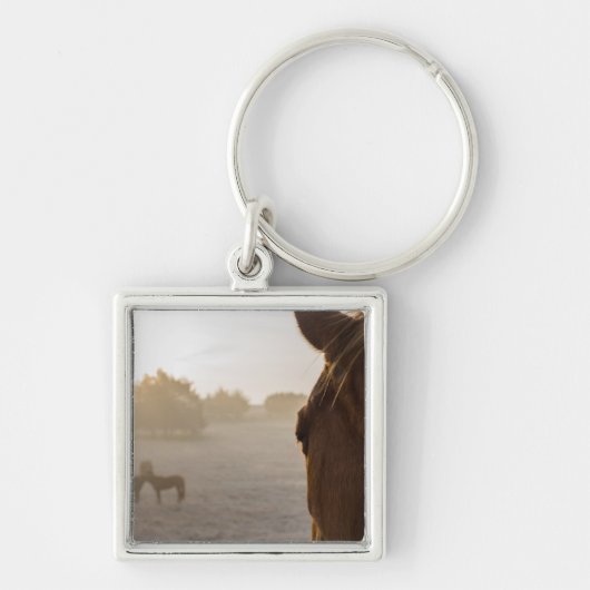 Weiter schauen schlüsselanhänger (Vorne)