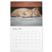 Weitere Kätzchen-Wall-Kalender - HAMbyWG Kalender (Feb 2027)