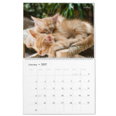 Weitere Kätzchen-Wall-Kalender - HAMbyWG Kalender (Jan 2027)