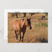 weitermachen ankündigungspostkarte (Vorne/Hinten)