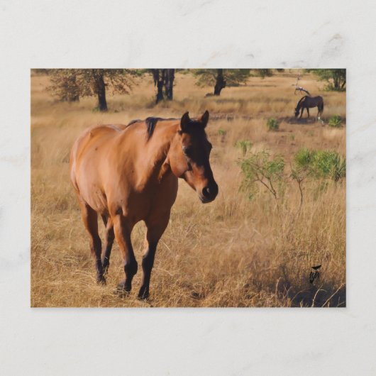 weitermachen ankündigungspostkarte (Vorderseite)