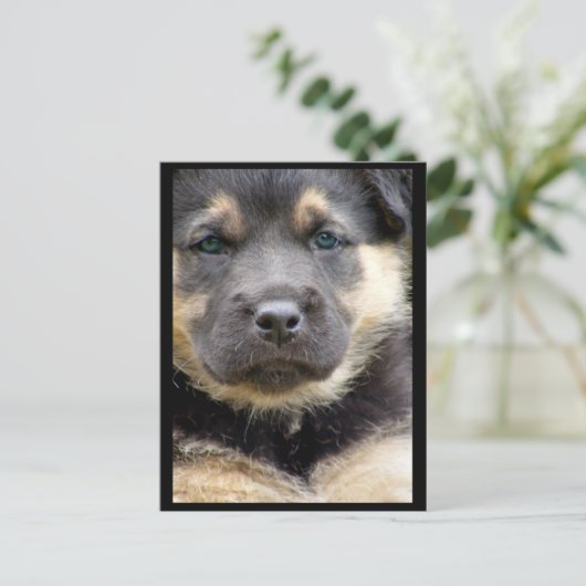 Weitsichtige Postkarten (Stehend Vorderseite)