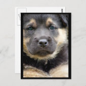 Weitsichtige Postkarten (Vorne/Hinten)