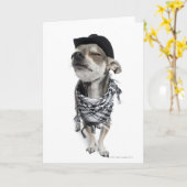 Weitwinkel eines Chihuahua mit geschlossenen Augen Karte (Gelbe Blume)