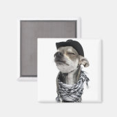 Weitwinkel eines Chihuahua mit geschlossenen Augen Magnet (Vorderseite/Rückseite)