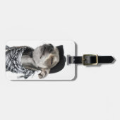 Weitwinkel von Chihuahua mit seinem mustert Gepäckanhänger (Vorderseite horizontal)