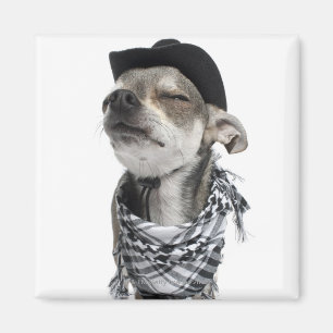 Weitwinkel von Chihuahua mit seinem mustert Magnet