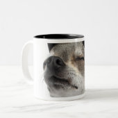 Weitwinkel von Chihuahua mit seinem mustert Zweifarbige Tasse (Vorderseite Links)