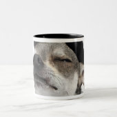 Weitwinkel von Chihuahua mit seinem mustert Zweifarbige Tasse (Mittel)