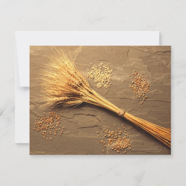 Weizen (Vorderseite)