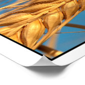 Weizen 2 poster (Ecke)