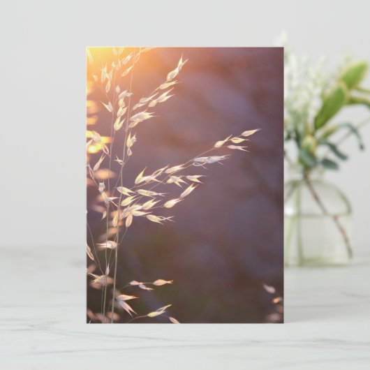 Weizen am Morgen Dankeskarte (Stehend Vorderseite)