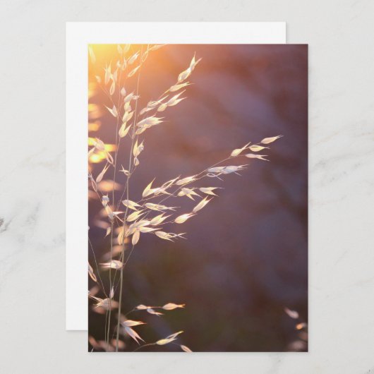 Weizen am Morgen Dankeskarte (Vorne/Hinten)