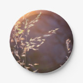 Weizen am Morgen Pappteller (Vorderseite)