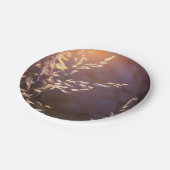 Weizen am Morgen Pappteller (Schrägansicht)