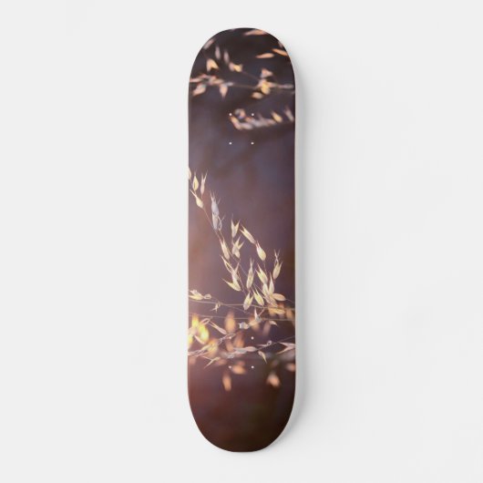 Weizen am Morgen Skateboard (Vorderseite)